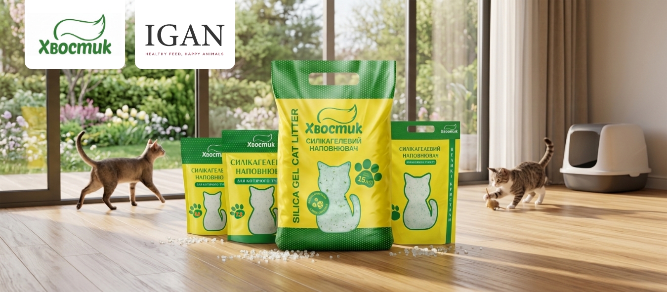 Описание изображения